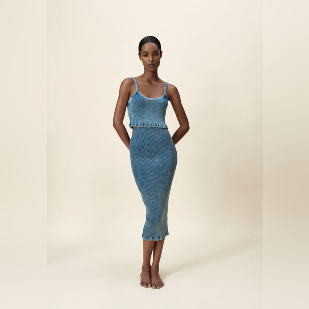 Zara crop top and midi skirt